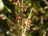 img_0265001