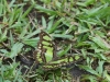 img_0682001